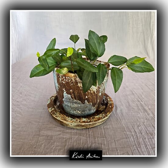 Betona puķpods no kolekcijas "Rūsa un patina"