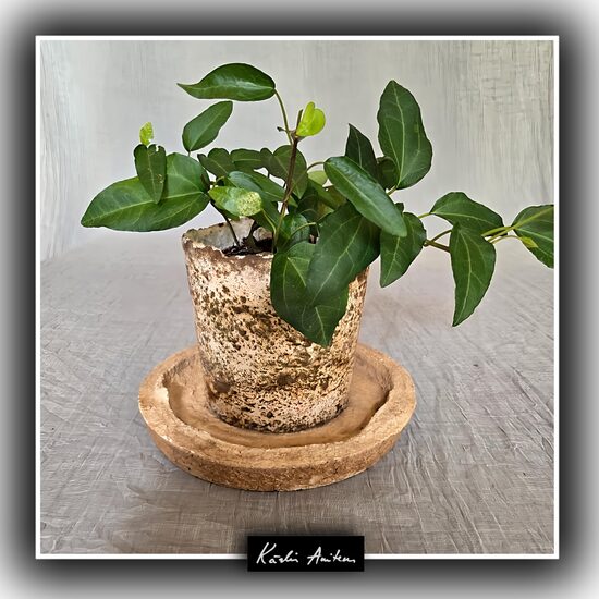 Betona puķpods no kolekcijas "Lai krāso daba!"