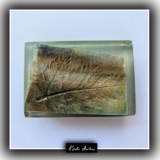 Midsummer Night. Aroma: Litsea, Acacia